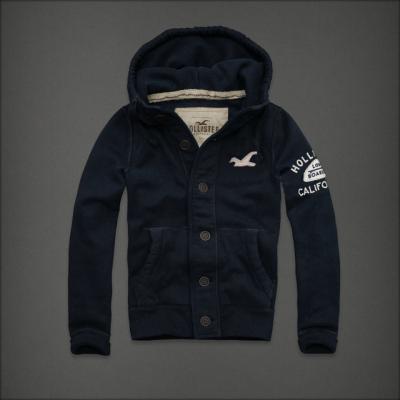 Cheap Hollister Men Hoodies wholesale No. 34